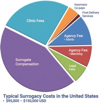 surrogatmamma usa kostnad|What is the Average Cost of Surrogacy in the United。